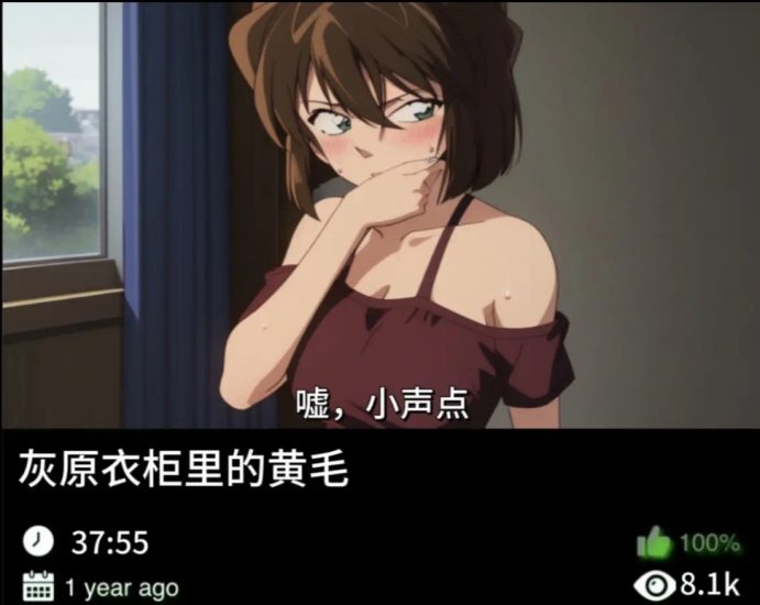 柯南同人-灰原衣柜里的黄毛489织梦动漫